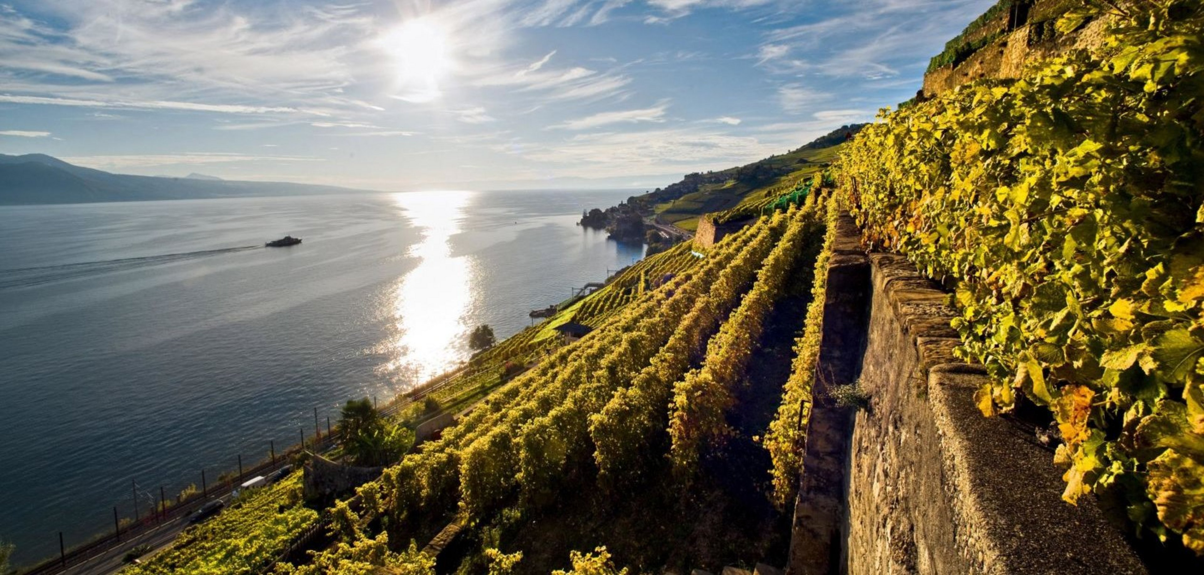 et la région de Lavaux ...